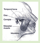 TMJ Diagnosis5